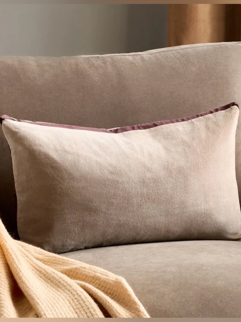 NWT Quince Contrast Velvet Edge Pillow Cover, 12 X 20 (Taupe/Espresso)